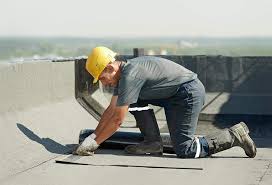 Best Roof Coating and Sealing  in Jacinto City, TX